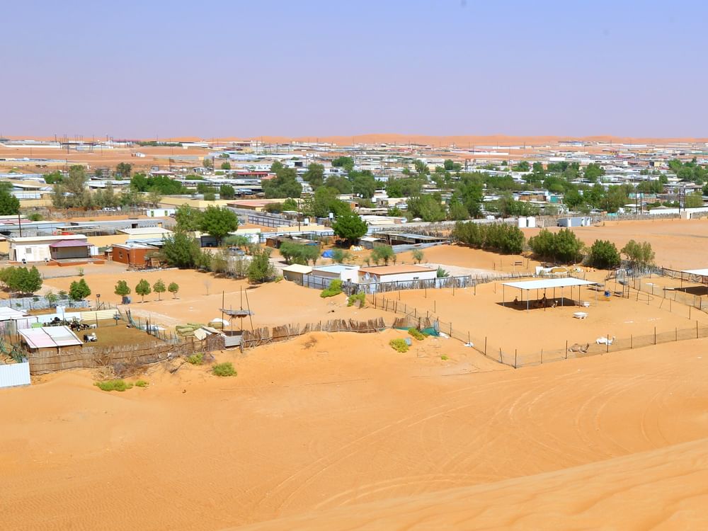 بلدية العين تمهل مستفيدي العزب ثلاثة أشهر لبدء الاستغلال