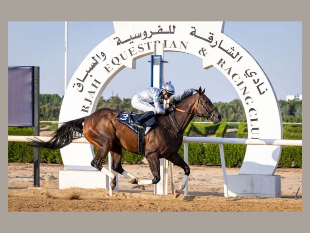 سباق كأس منصور بن زايد ينطلق غدا بمضمار الشارقة لونجين