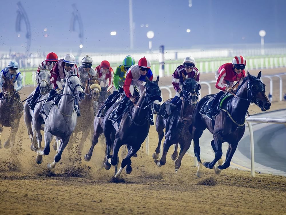 Meydan to host second evening of Dubai Racing Carnival on Friday