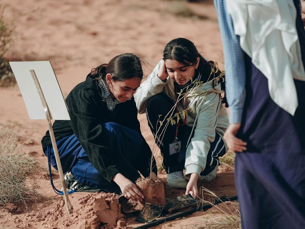 "البيئة والمحميات الطبيعية بالشارقة" تنظم الدورة الـ12 من حملة "تشجير محمية المنتثر"
