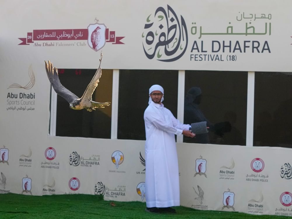 انطلاق منافسات مهرجان الظفرة للصيد بالصقور 