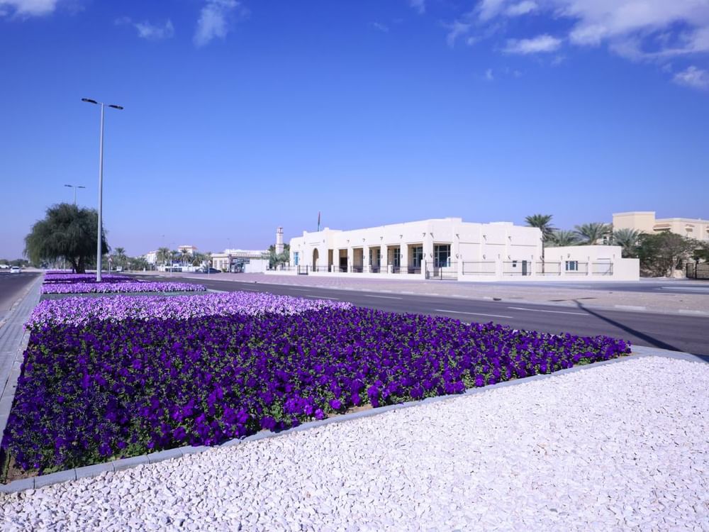 Al Ain showcases 99 million year-round blooms in evolving tapestry
