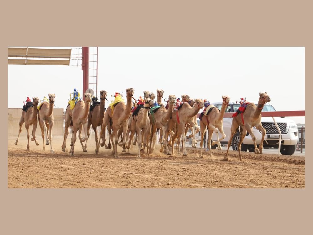 مهرجان حاكم الشارقة لسباقات الهجن ينطلق 10 نوفمبر