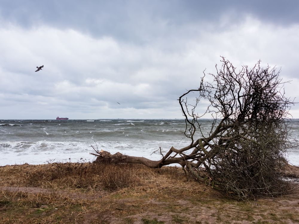 Tropical storm forms off Nicaragua; heavy rain warnings issued