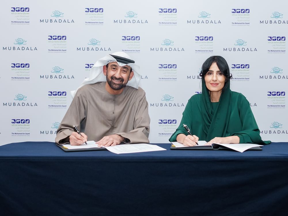 Mohamed bin Zayed Species Conservation Fund, Mubadala announce international dugong, seagrass conservation initiative