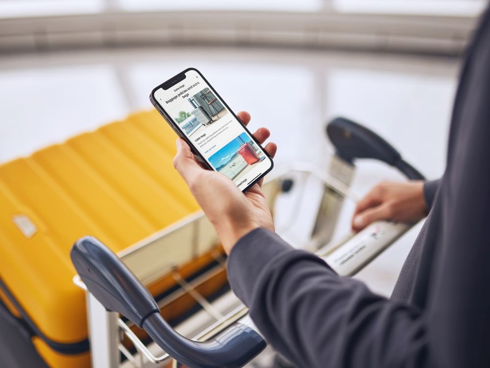 Etihad Airways готовится к одному из самых загруженных зимних сезонов