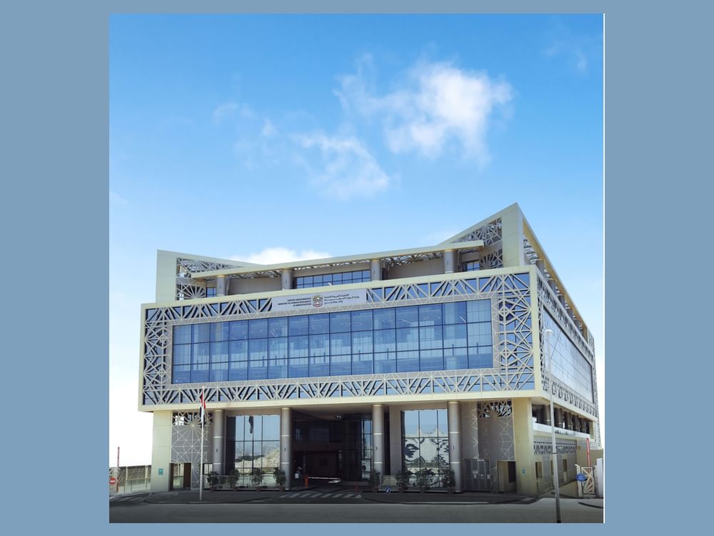 MoHRE detects 405 cases of ‘Fake Emiratisation’ in companies in H1 2025