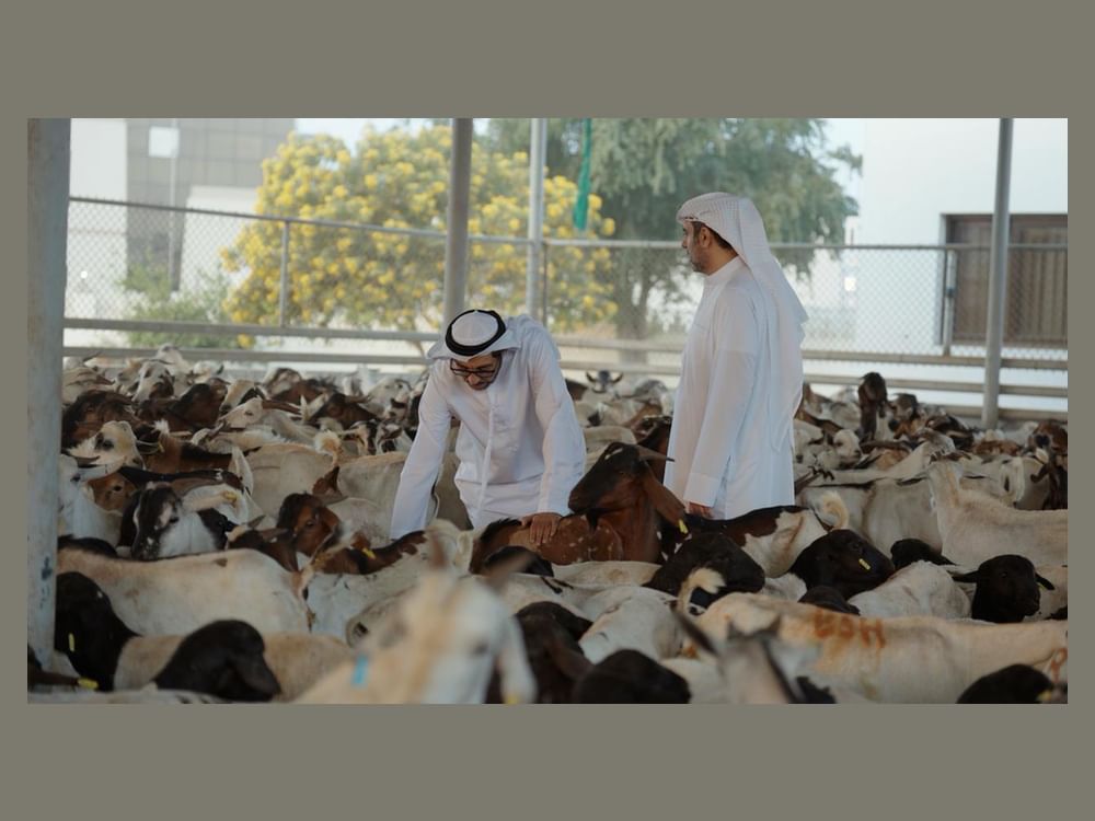 "التغير المناخي والبيئة" تؤكد الجاهزية القصوى لمنافذ الدولة وتدفق السلع الغذائية بانسيابية استعداداً لعيد الفطر المبارك