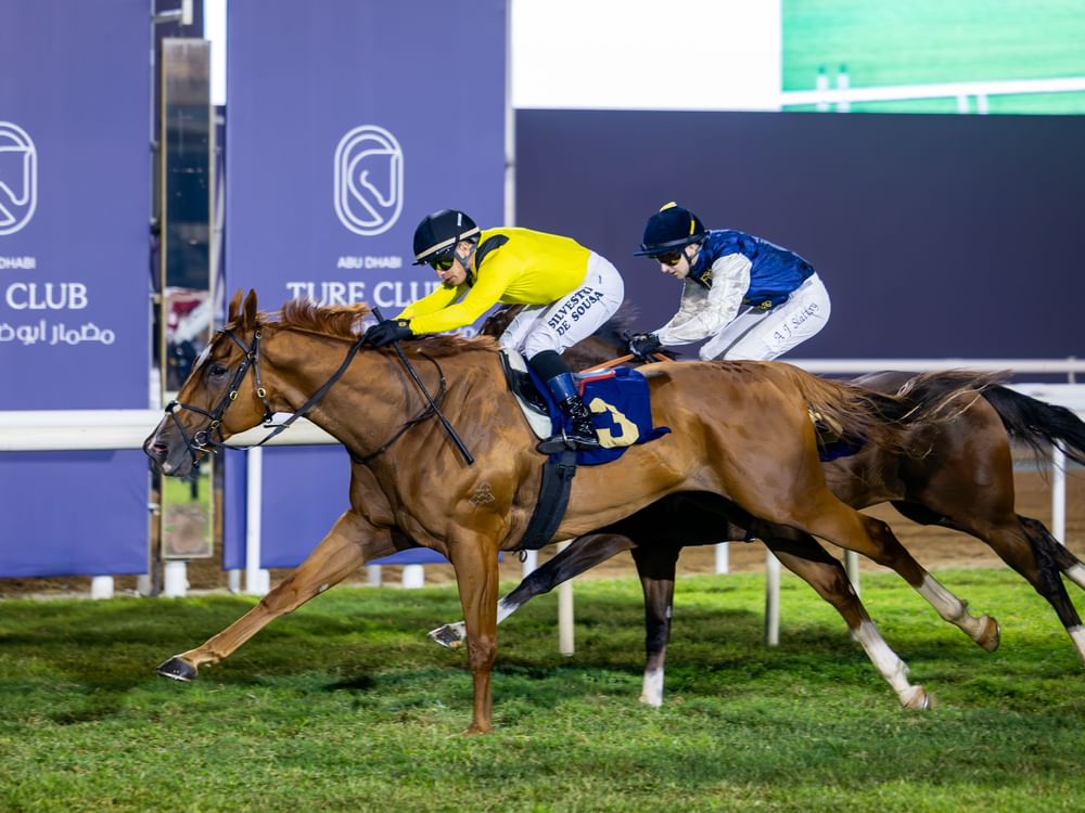 7 أشواط للخيول في كأس أبوظبي الذهبي جوائزها 5 ملايين درهم