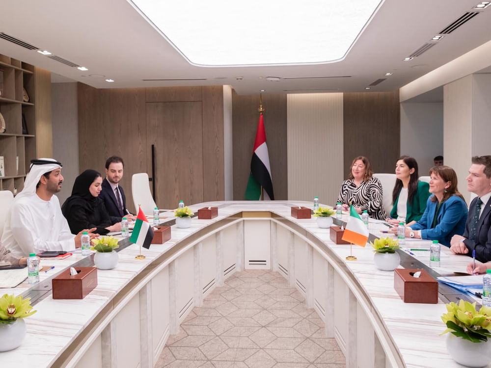 UAE, Ireland discuss expanding cooperation, enhancing connectivity between business communities