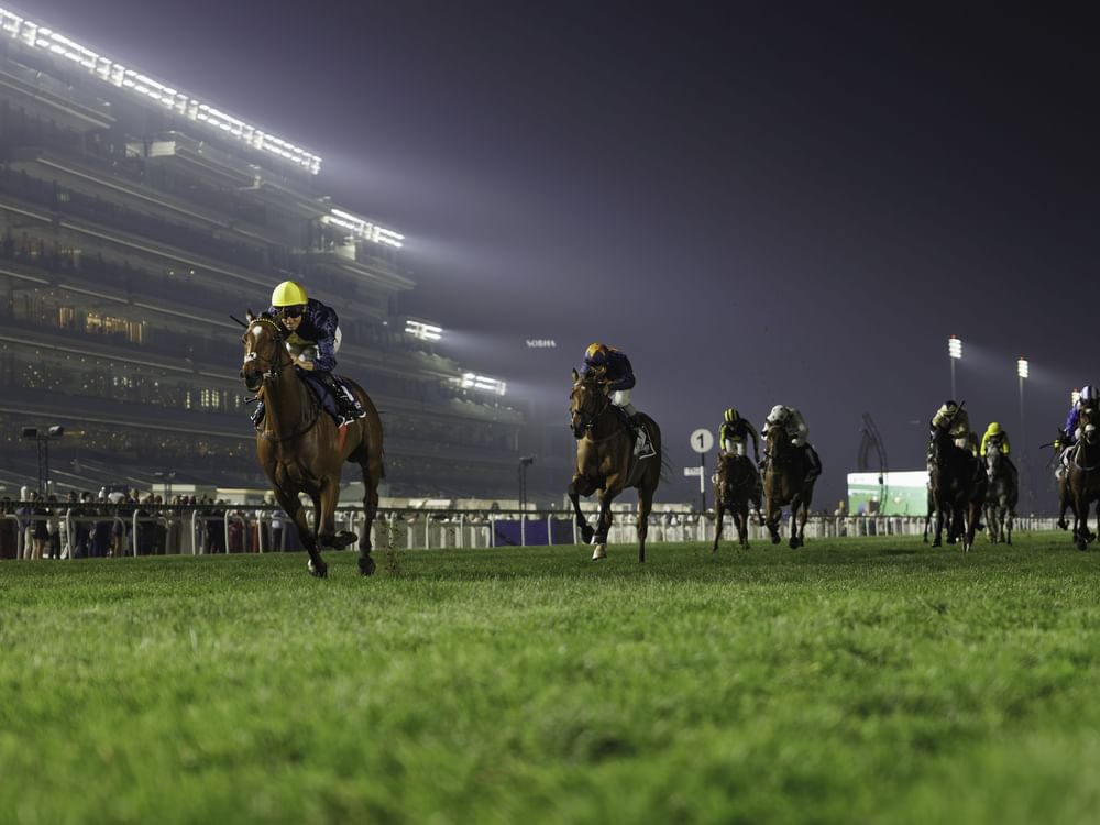 " دبي لسباق الخيل" يعلن تفاصيل الاستعدادات لانطلاق الموسم الجديد