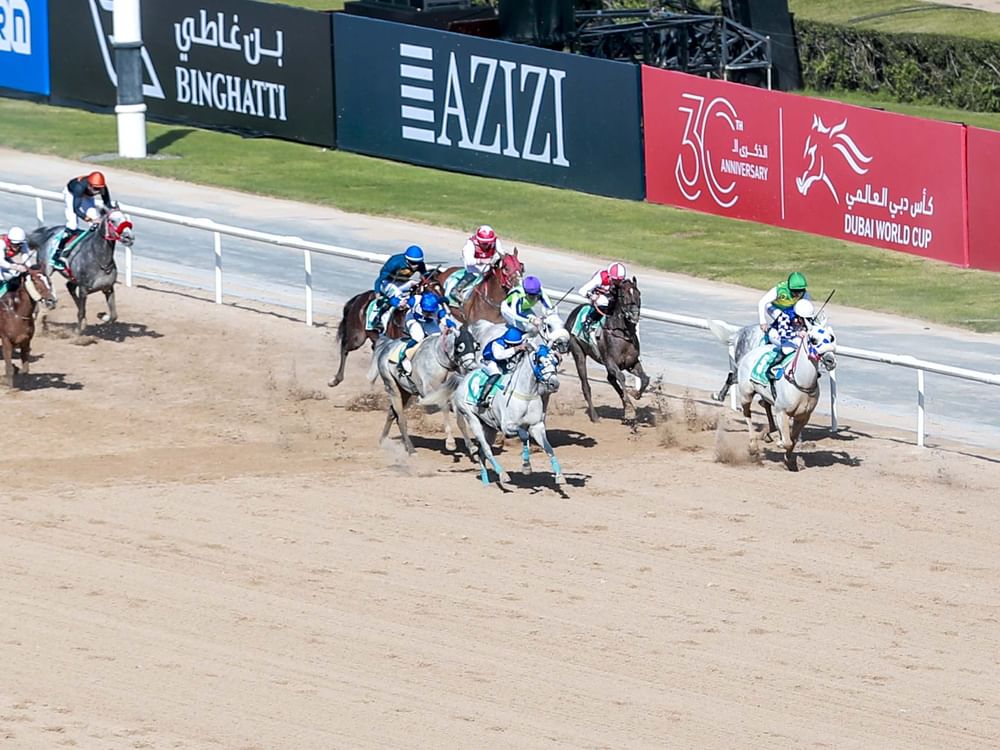 الجواد"فلاح" يتوج بلقب "دبي كحيلة كلاسيك" في كأس دبي العالمي 2026