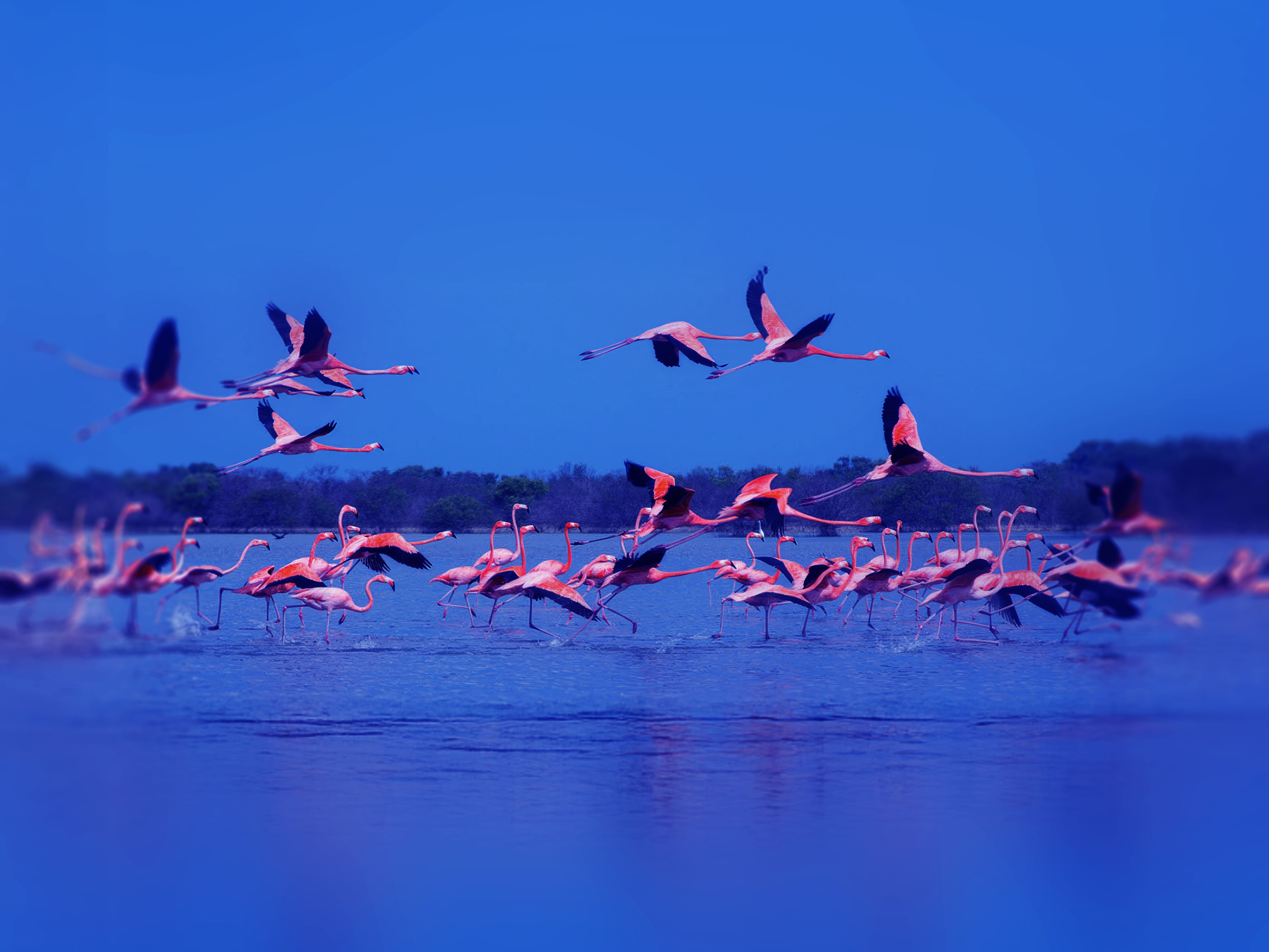 Modern attractions, nature reserves, heritage sites orchestrate Ajman’s tourism appeal