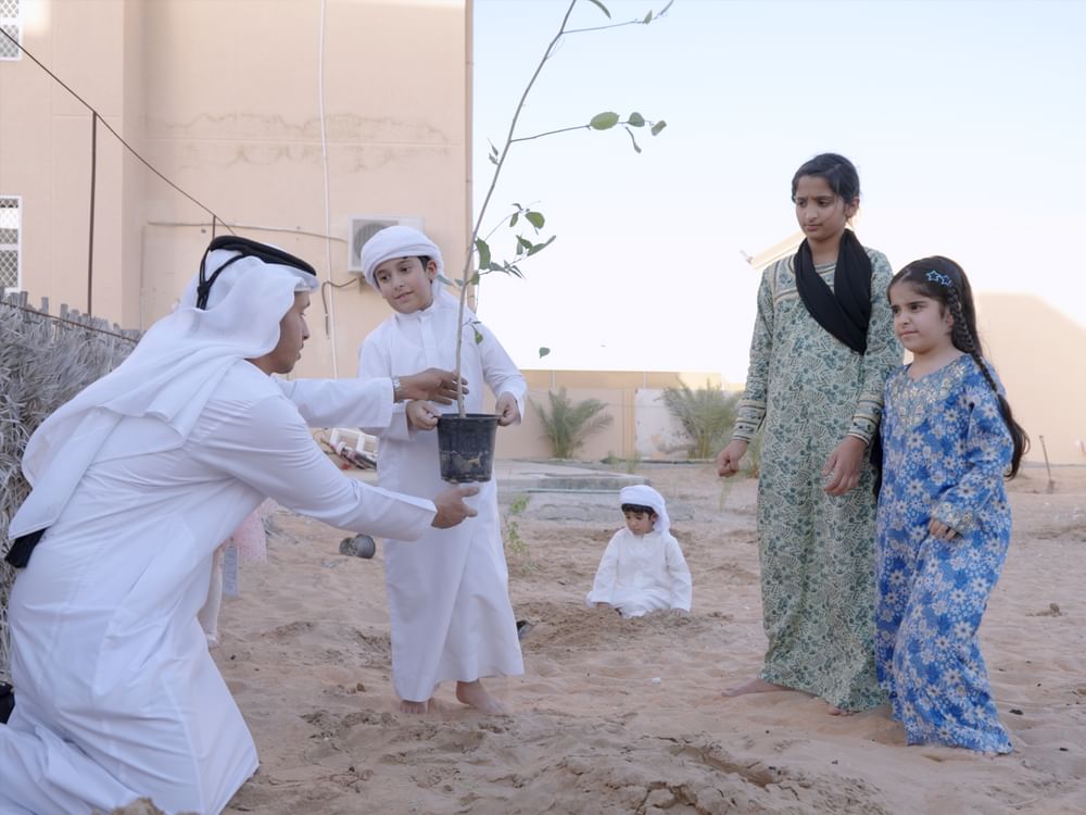 توزيع وزراعة 100 ألف شتلة بمنطقة الظفرة لتعزيز الاستدامة البيئية 