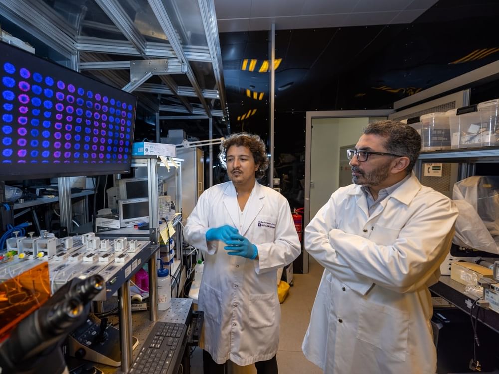 Des chercheurs de NYU Abou Dhabi développent une technologie peu coûteuse pour conserver des modèles tumoraux destinés aux tests de médicaments