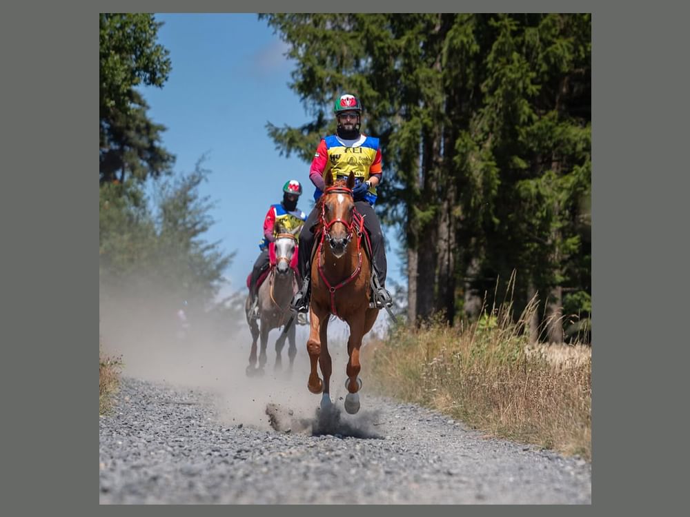 UAE claims individual, team titles at FEI Endurance World Championship for Young Horses 2025 in France