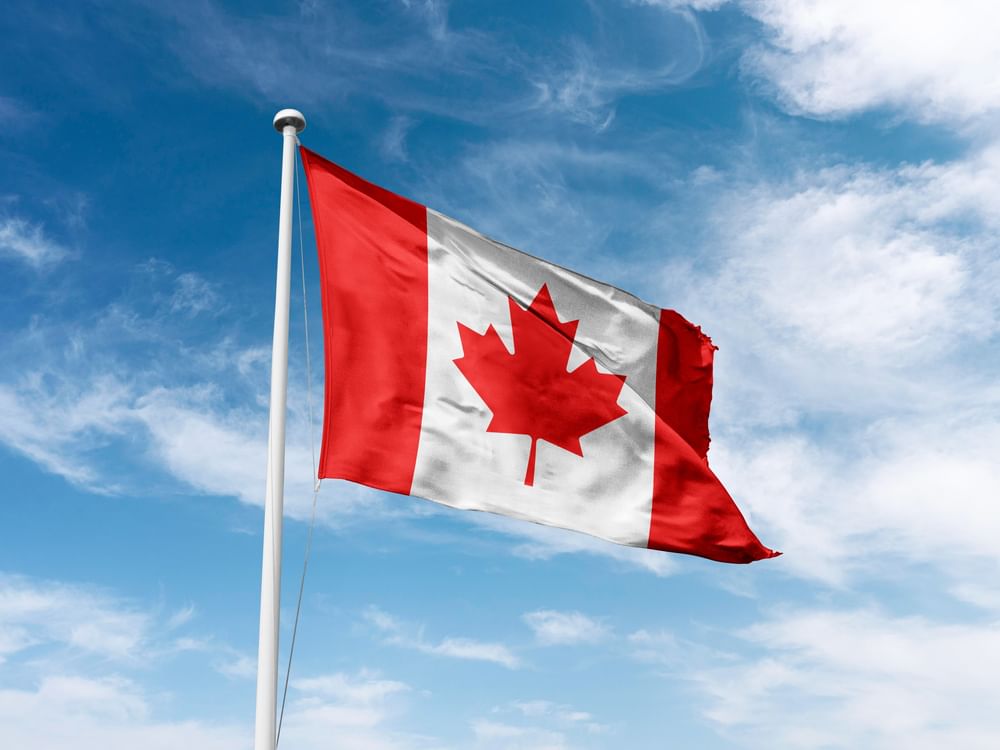 Canada's trade deficit shrinks to $4.9 bn in July