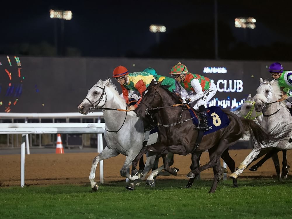 104 خيول تتنافس في السباق الـ11 على مضمار أبوظبي غدا 