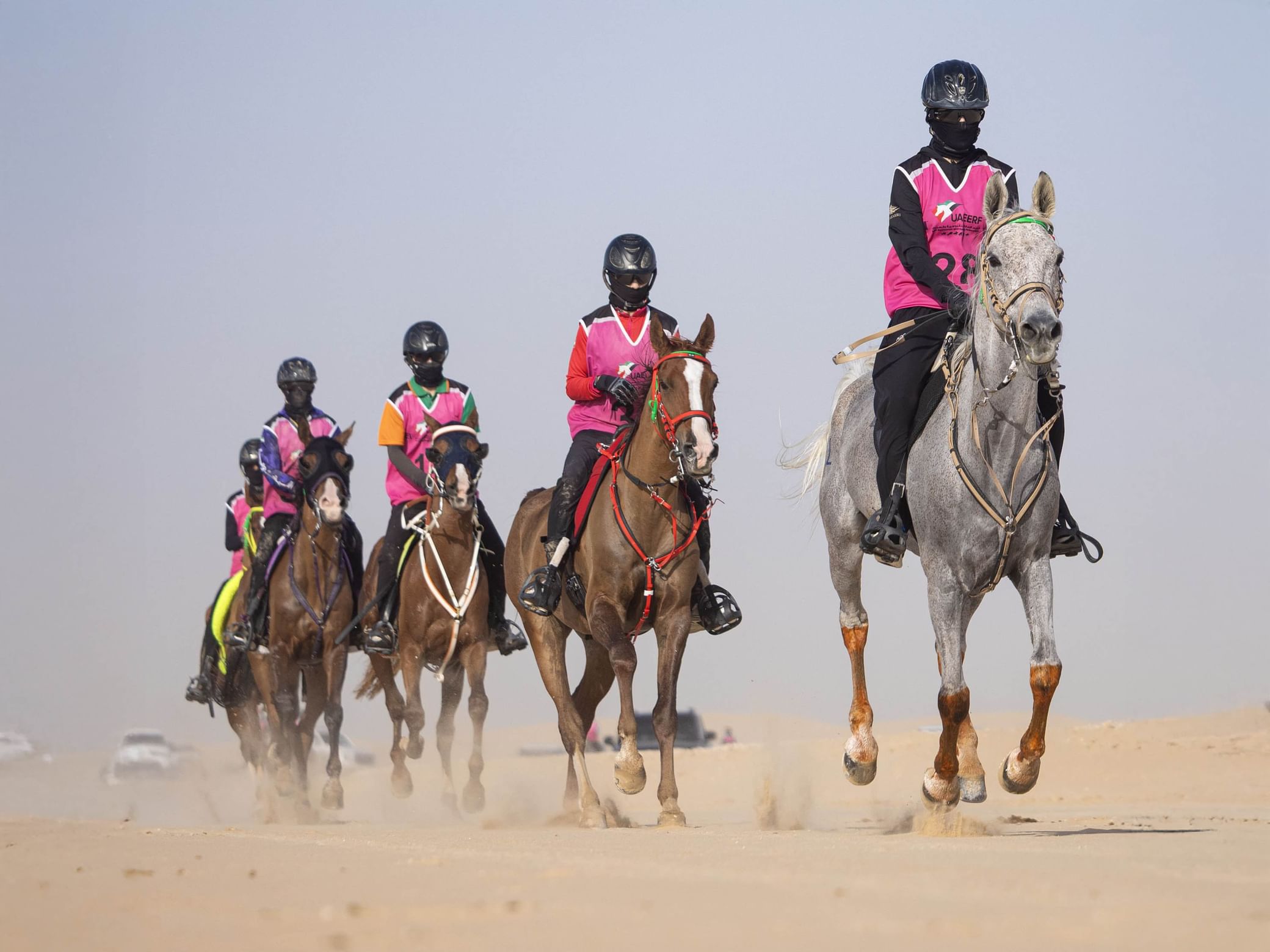 سباق سلطان بن زايد الدولي للقدرة ينطلق غدا في قرية بوذيب 