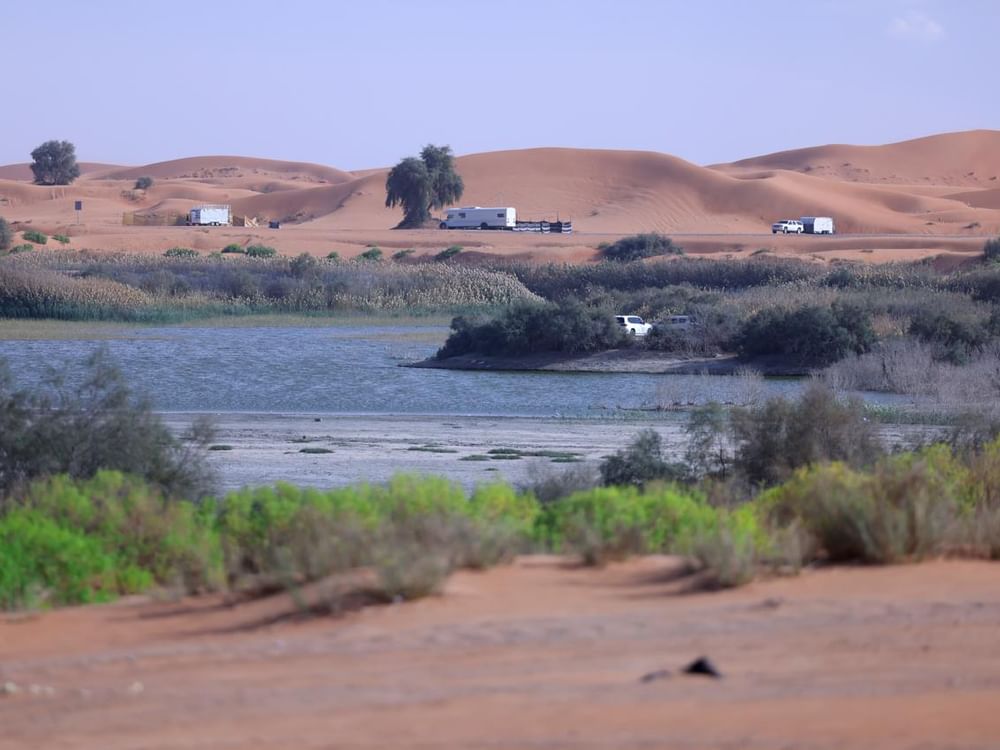 بلدية مدينة العين تطوّر مرافق خدمية في بحيرة زاخر