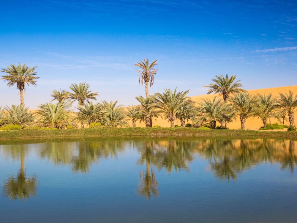 اليوم العالمي للبيئة 2026 / أبوظبي تقود صياغة الحلول البيئية عبر الابتكار العلمي