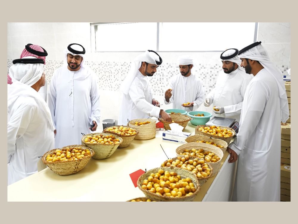 Sharjah Chamber gears up to launch 10th Al Dhaid Date Festival on 23 July
