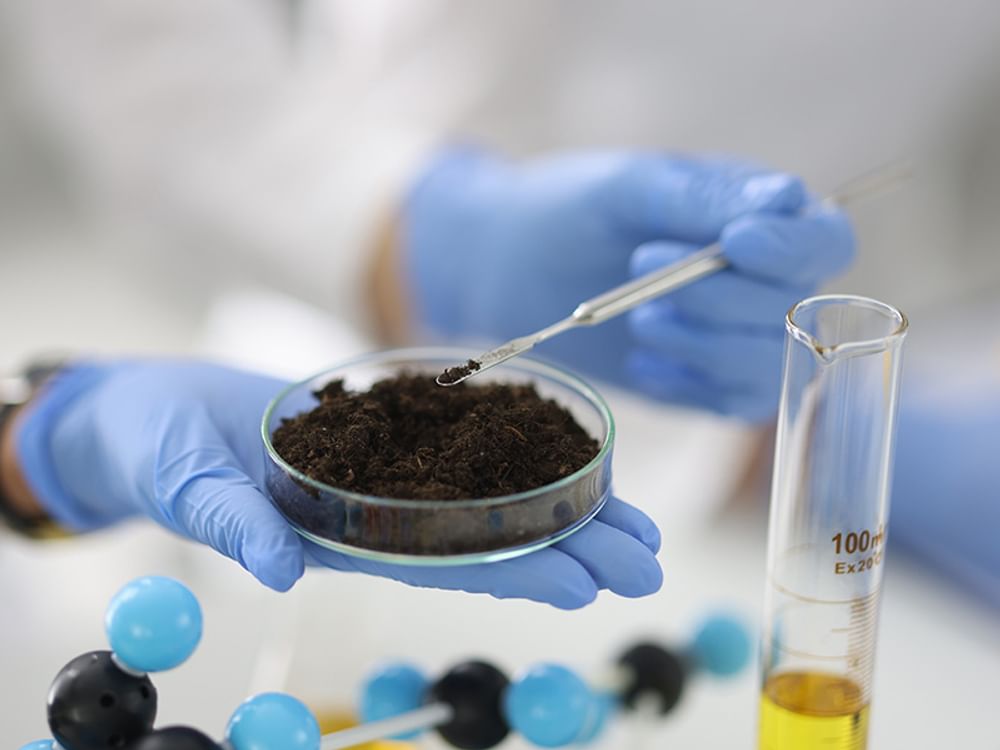 Scientific study reveals promising prospects for sustainable agriculture in UAE
