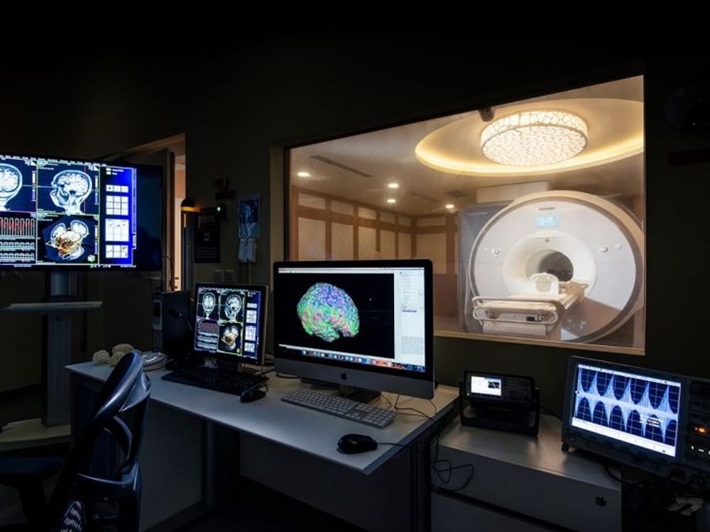 Universidade dos Emirados Árabes Unidos e New York University Abu Dhabi apoiam pesquisa sobre saúde cerebral