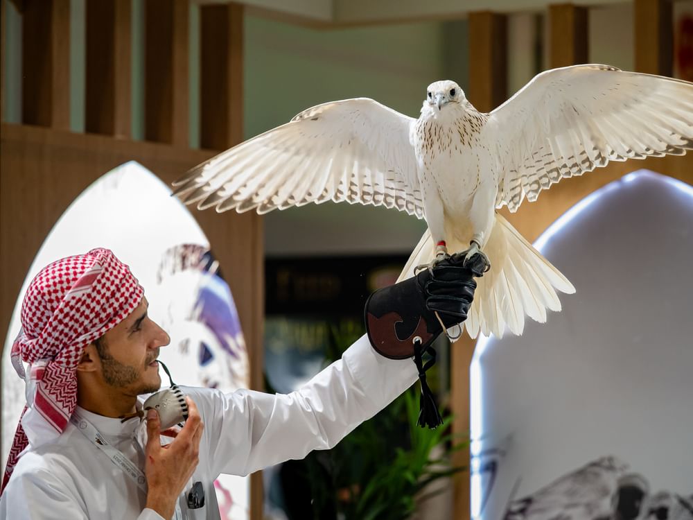 Abu Dhabi International Hunting and Equestrian Exhibition opens Friday