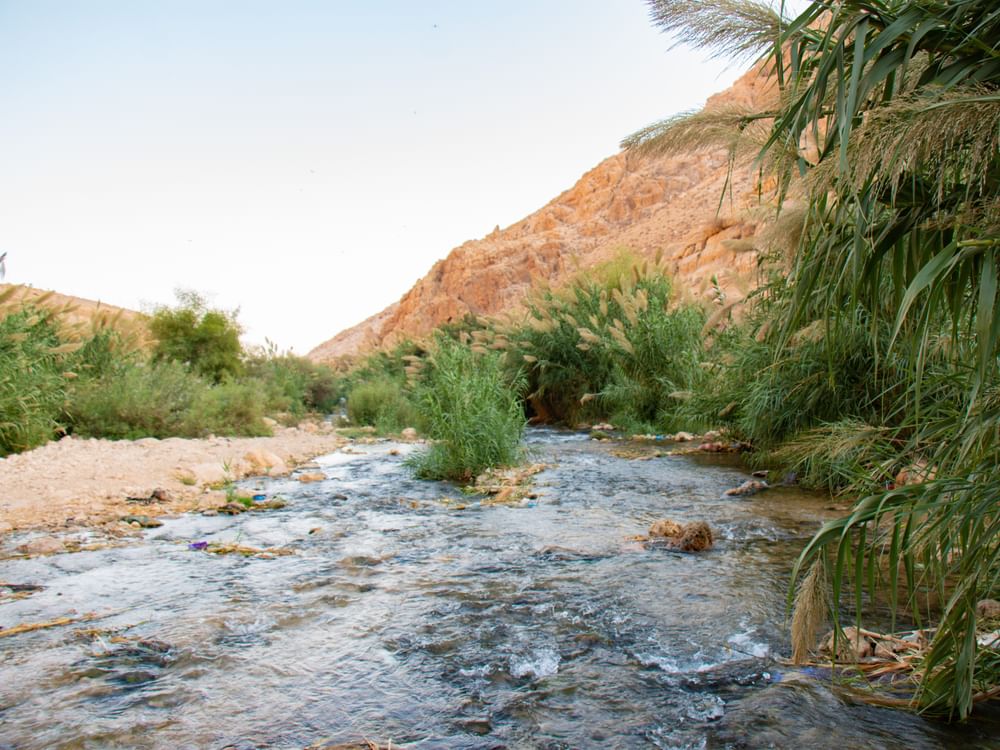 بين الجفاف والتعديات الاستعمارية.. مواطنو الأغوار يحرمون من مياه العوجا