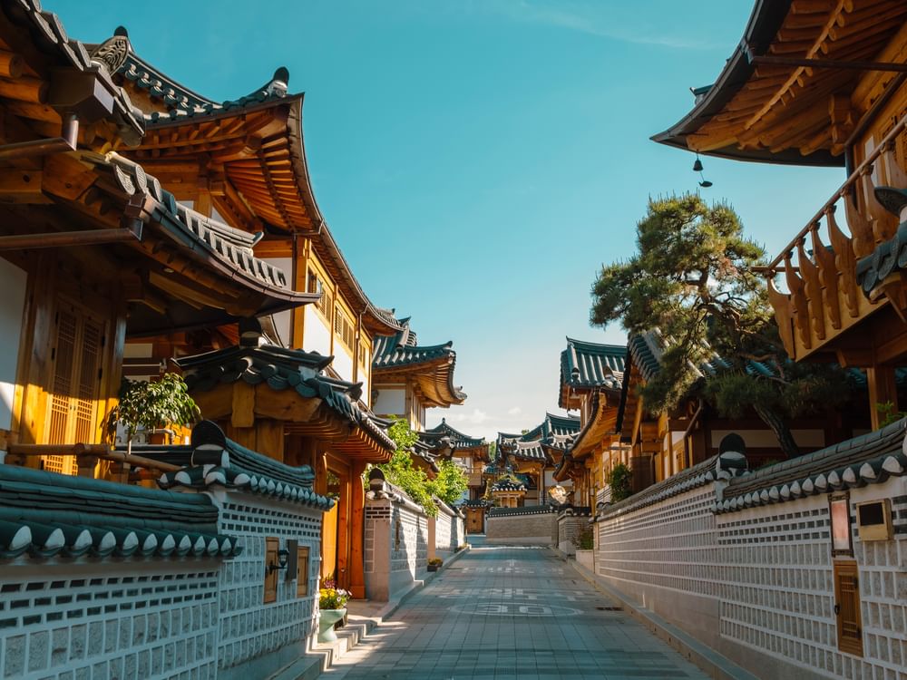 韩国旅游业复苏强劲 前5月接待游客628万人次