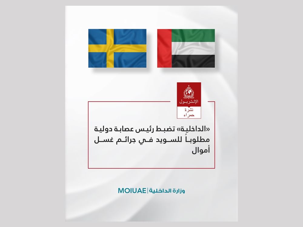 «الداخلية» تعلن ضبط رئيس عصابة دولية مطلوبا للسويد في جرائم غسل أموال