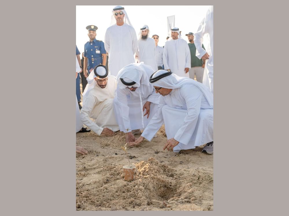 "دبي للبيئة والتغير المناخي" تطلق مبادرة زراعة أشجار القرم في محميات دبي