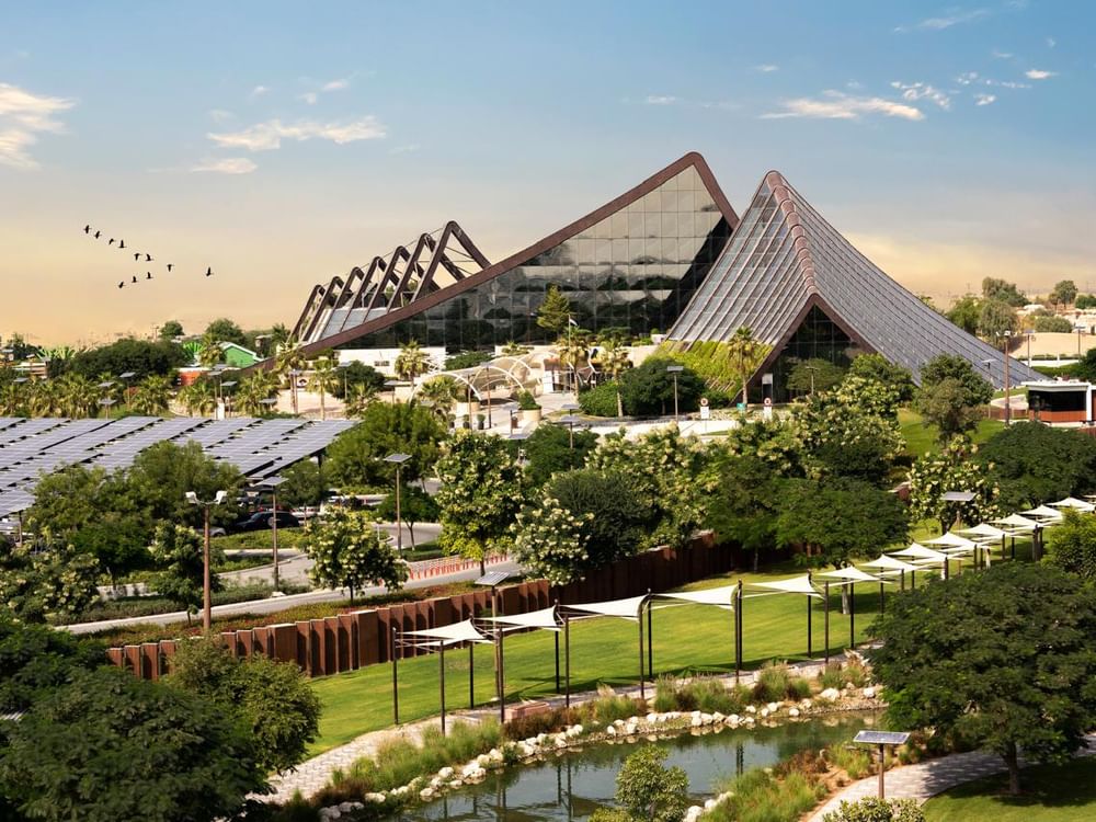 Dubai Safari Park to offer novel night safari experience from 13 December