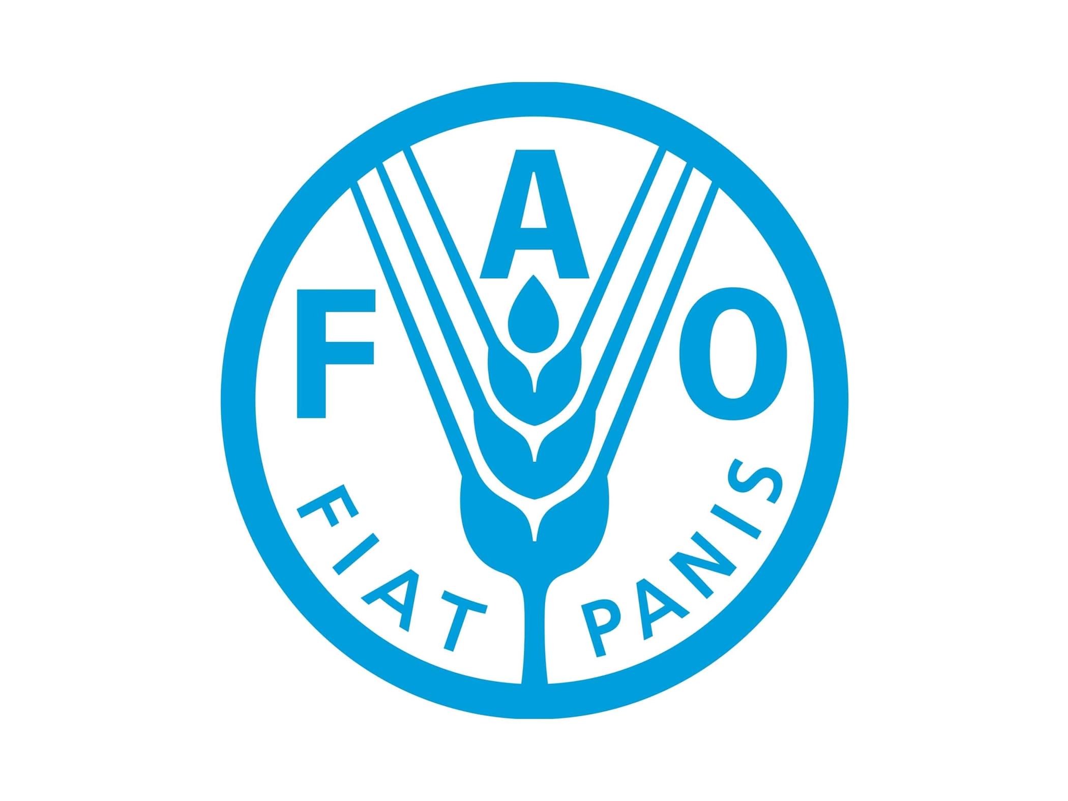 Global food prices hit highest level since late 2022, FAO says