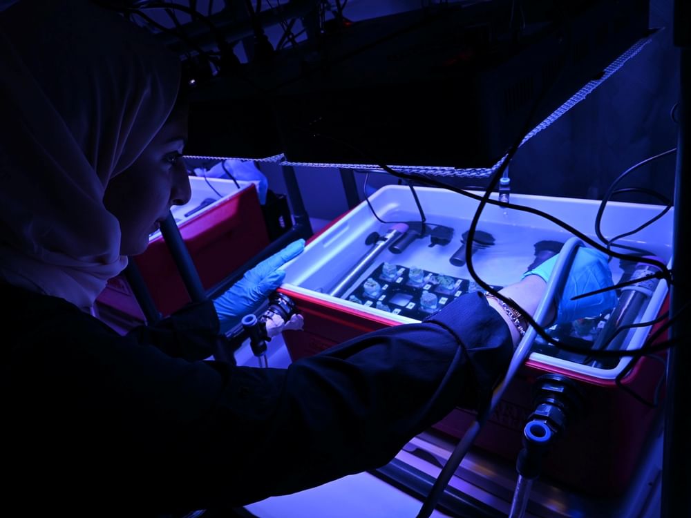 NYUAD research team completes study on coral reefs along UAE coast