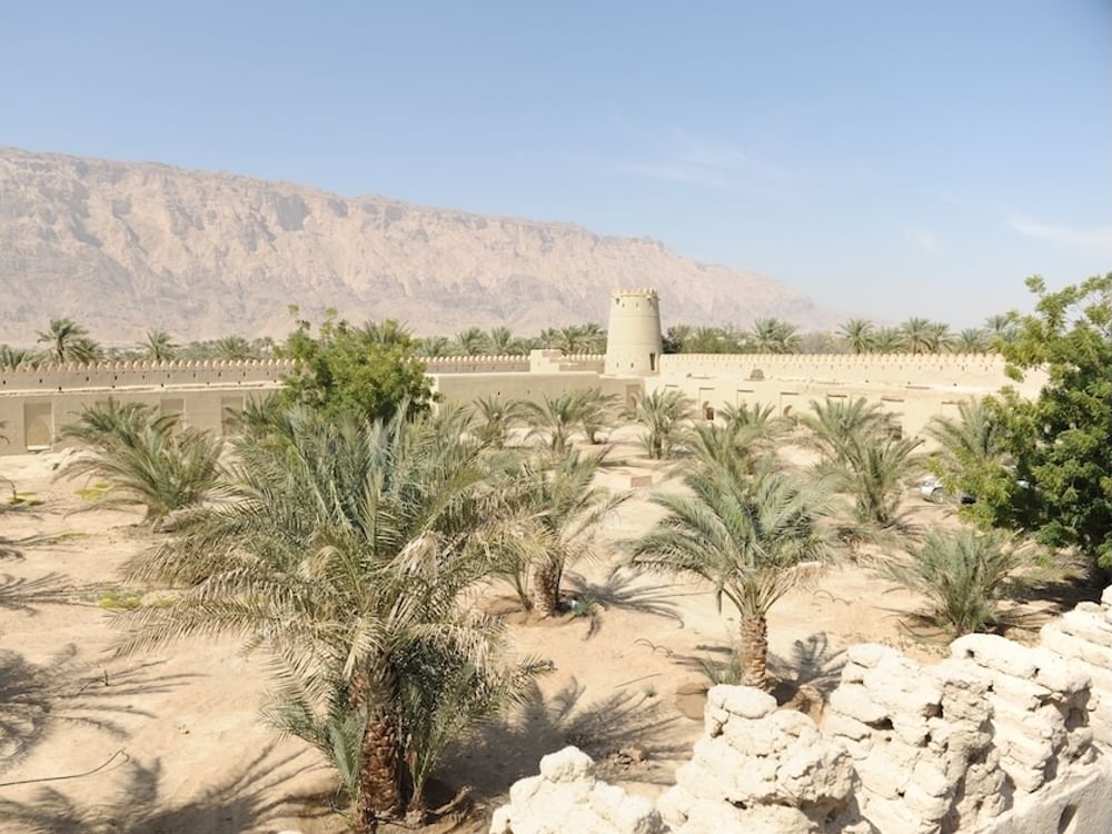 DCT Abu Dabi anuncia los socios, programas y premios de Terra 2026 en Al Ain