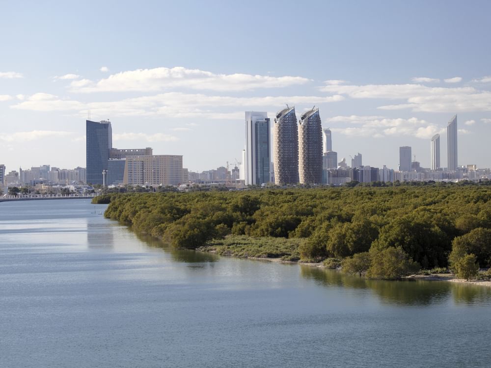 Première Conférence Internationale sur la Conservation et la Restauration des Mangroves : Un Rendez-vous Mondial pour l'Innovation et la Collaboration