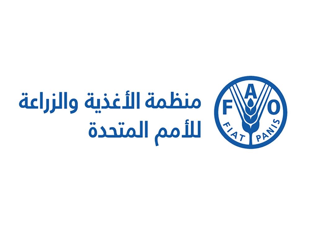 FAO marks 80th anniversary during participation in Abu Dhabi Global Food Week