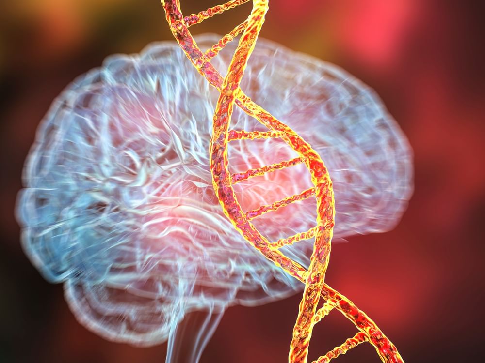 Researchers discover nutrient linked to depression