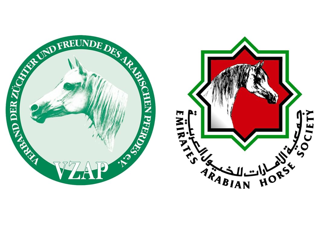 UAE-Germany agreement opens horizons for studbook of Arabian horses worldwide