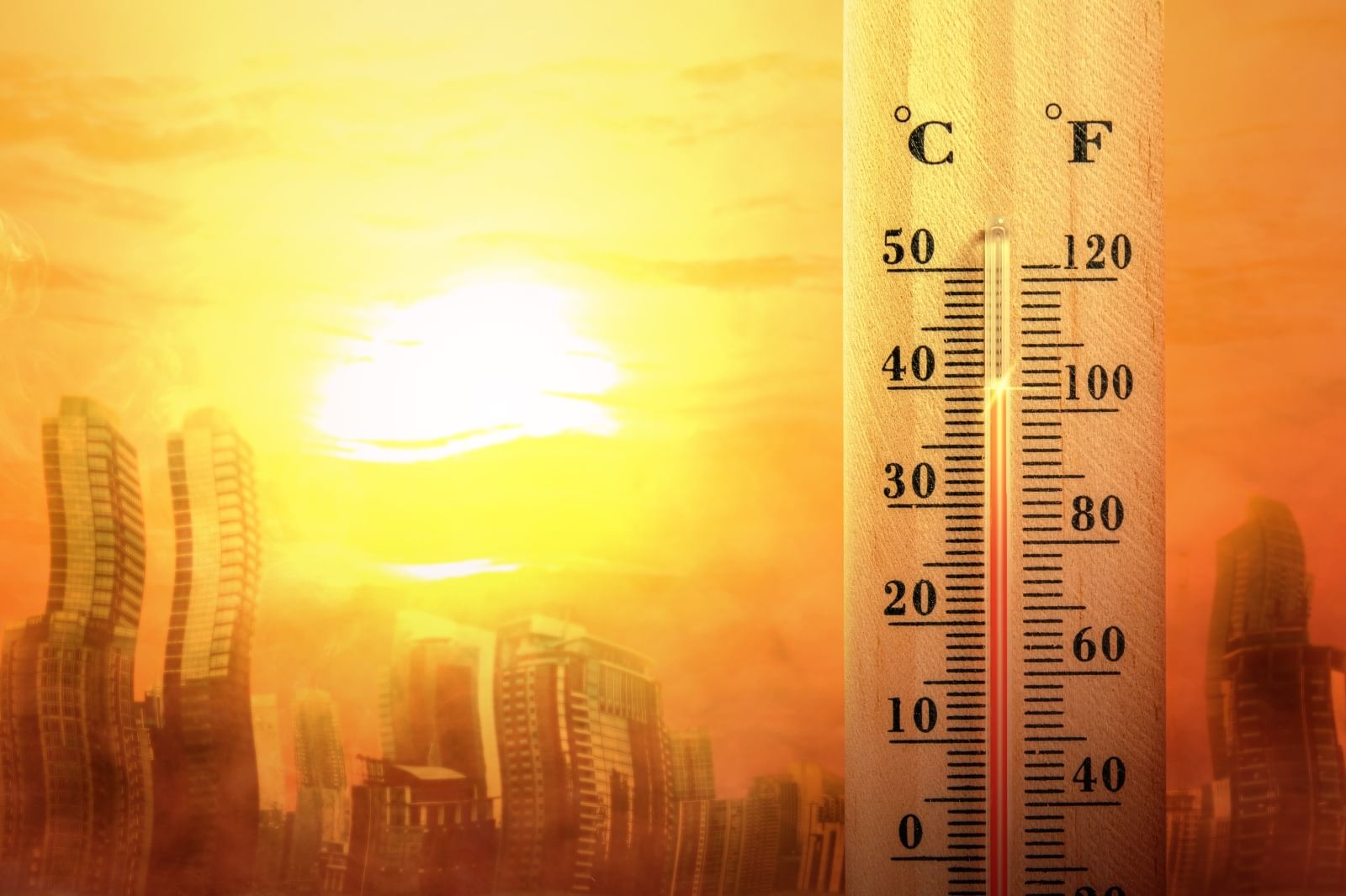 2024 could be world's hottest year as June breaks records | Emirates News Agency