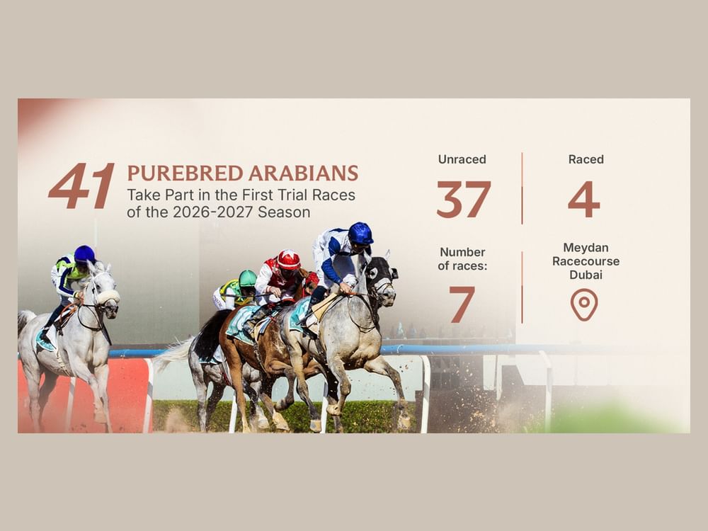 UAE Horse Racing Authority announces 41 horses to compete in first trial race of new season