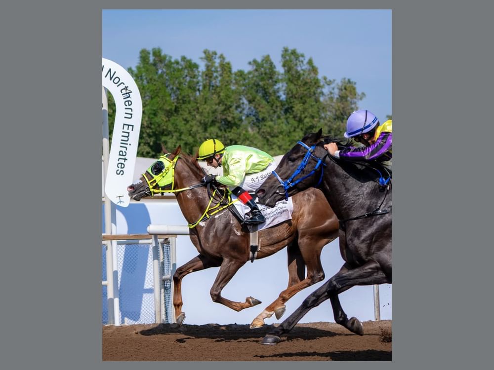 82 خيلاً في السباق الثالث لمضمار جبل علي احتفالاً بعيد الاتحاد 