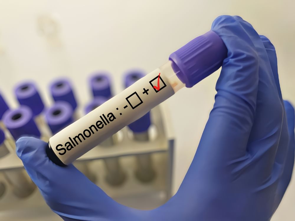 Salmonella outbreak spreads across seven US states