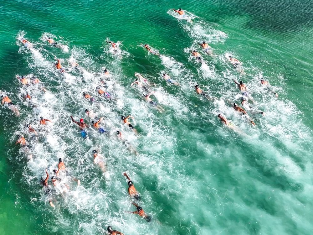 Dubai International Aquatics Championships attract 380 athletes for open water swimming, water polo competitions
