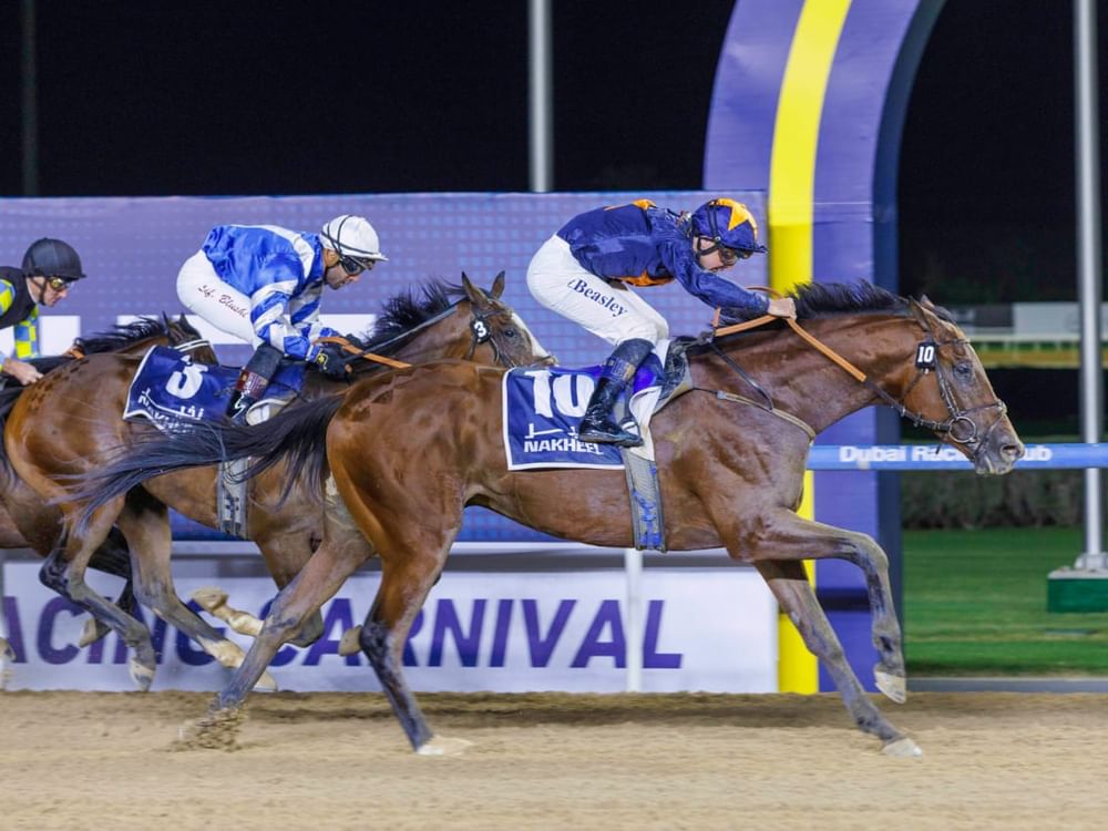 "دبي لسباق الخيل" يتلقى 300 طلب للمشاركة في سباقاته
