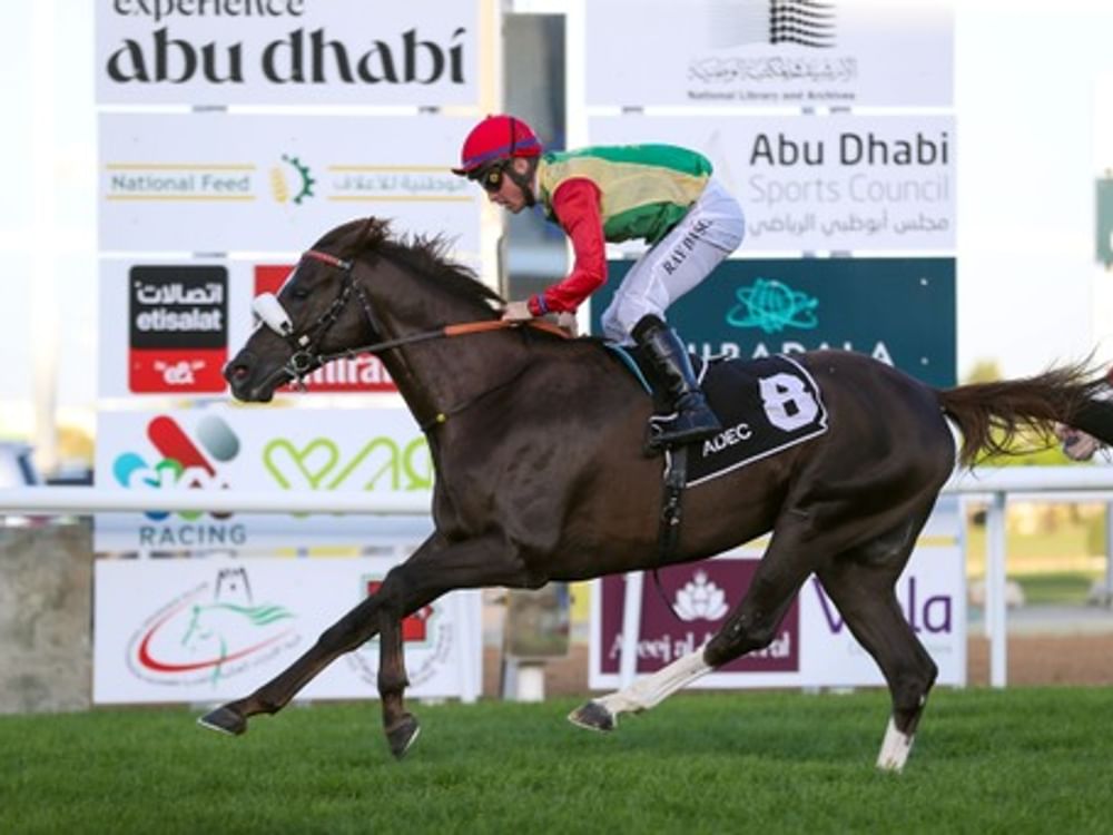 Clube Equestre de Abu Dhabi sediará a Copa do Presidente dos Emirados Árabes Unidos de cavalos árabes de raça pura