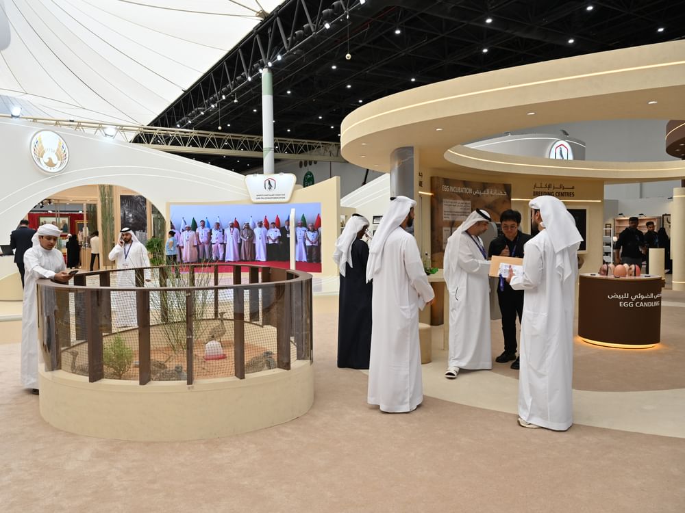 "العين للصيد والفروسية".. احتفال بالإرث الثقافي والتراث الإماراتي