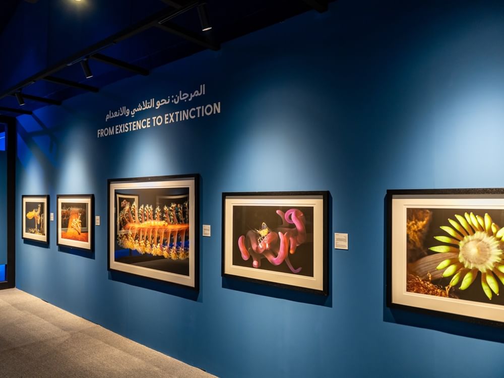 "اكسبوجر 2026"يقدم شهادات بصرية حول حماية المحيطات